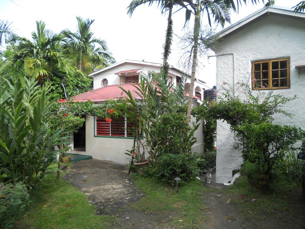 Drapers San Guest House Port Antonio Exterior photo